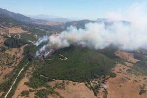 Declarado un incendio forestal en el paraje del Cortijo de la Joya, en Tarifa