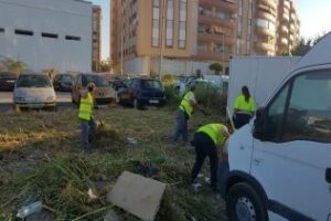 El Ayuntamiento acomete la limpieza y el desbroce del solar situadao en la calle Carteya