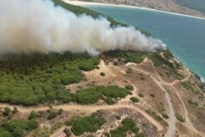 Detienen al presunto autor de los incendios forestales registrados este verano en Tarifa