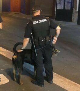 Los ayuntamientos de Algeciras y San Roque colaboran en materia de seguridad a través de la Policía Local