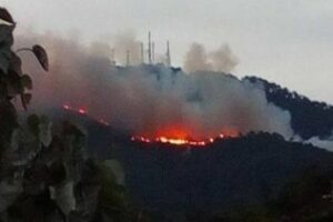 Declarado un nuevo incendio forestal en el paraje natural de El Palancar