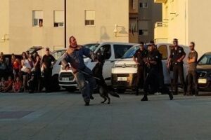 La Unidad Canina de la Policía Local participa en unas jornadas de exhibición en Tarifa