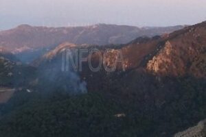 El paraje de El Palancar en Tarifa sufre el segundo incendio forestal en sólo una semana