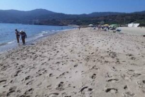 Más de 10.000 kg de algas han sido retirado hasta la fecha de hoy