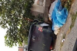 Foto denuncia: Contenedores rotos en La Granja