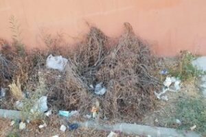 Incómoda: Vecinos de Huerta las Pilas tienen que limpiar ellos mismos su barriada (VIDEO)