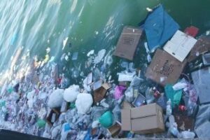 Verdemar denuncia vertido de plásticos en la dársena pesquera procedentes del mercadillo