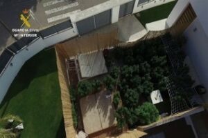 Guardia Civil interviene 66 plantas de marihuana en una casa y detiene al propietario