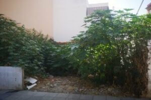 LVA denuncia el abandono de la parcela en Sáez de Laguna