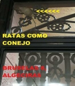 Andalucía Por Sí exige al Gobierno de Landaluce medidas contra las ratas en San José Artesano