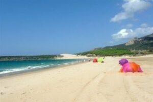 49 menores magrebíes llegan a Bolonia a bordo de dos pateras