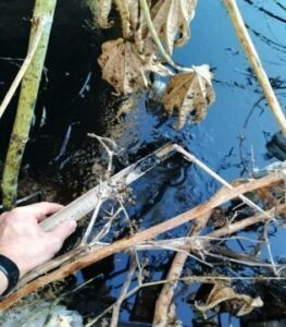 Verdemar denuncia un vertido de hidrocarburos en la confluencia de dos arroyos en El Zabal