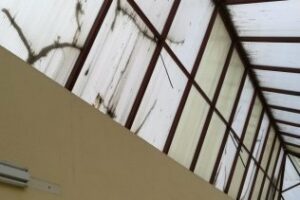 Soler (AxSí): Los colegios siguen manga por hombro en Algeciras"