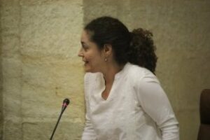 Nieto lamenta que la legislatura no haya dado respuesta a los problemas de la comarca