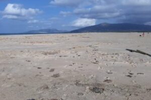 Verdemar denuncia lo que parecen nuevos actos vandálicos en la Laguna del Paraje Natural de Los Lances en Tarifa