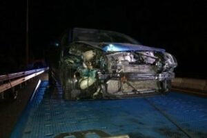 Accidente en la A-7 provocado por dos cabras