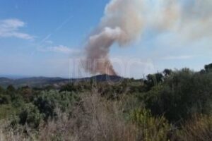 Extinguido el incendio forestal en el parque natural del Estrecho