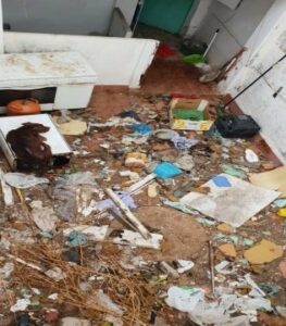 Diligencias contra una vecina por un presunto delito de maltrato animal