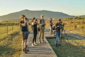 Periodistas británicos especializados en avistamiento de aves recorren el Campo de Gibraltar
