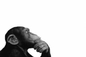 Algeciras se merece la verdad