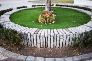 Denuncian la desaparición de fuentes de Algeciras desde que gobierna el Partido Popular