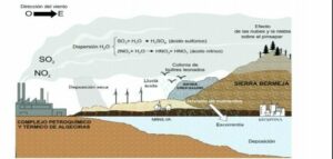 La contaminación de la industria petroquímica del campo de Gibraltar afecta al pinsapar de Sierra Bermeja