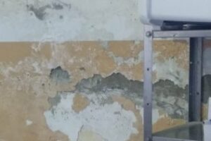 Denuncian el estado lamentable de los dos mercados de Algeciras