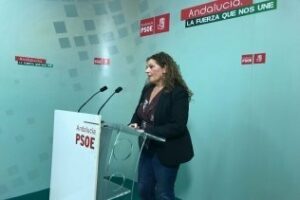 El PSOE de Cádiz aprueba el comité de campaña que coordinará Araceli Maese