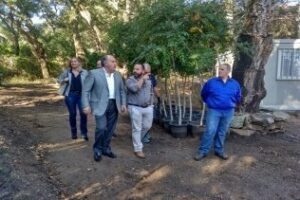 El Belén de Pelayo tendrá nueva ubicación