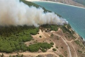 El Estrecho y el Campo de Gibraltar la zona con más incendios de la provincia