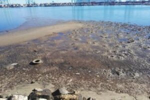 Yo reportero: Vistas lamentables, hedor y un puerto ausente