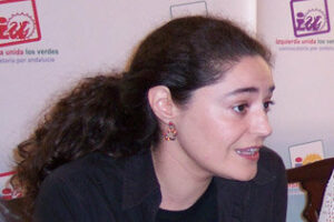 IU acusa a Landaluce de asumir el discurso de la extrema derecha sobre violencia de género