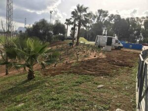 Parques y Jardines comienza un plan de ajardinamiento de taludes