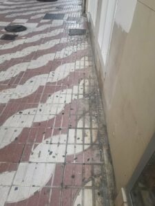 La Voz de Algeciras denuncia falta de limpieza en la calle Bailén