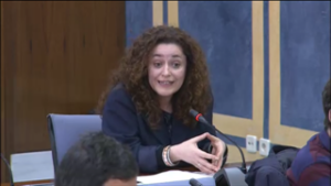 Nieto denuncia la situación de desprotección de las pinturas rupestres de la Cueva de Bacinete