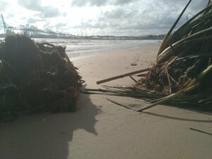 Algeciras solicita a Demarcación de Costas su implicación para rehabilitar las playas tras el temporal