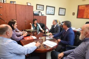 El Colegio Oficial de Veterinarios organiza el proyecto de las colonias felinas