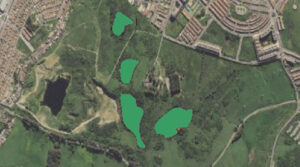 Alertan de que la obra del Cortijo San Bernabé acabaría con medio millar de árboles