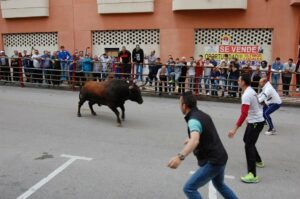 Finalizan sin incidentes graves los encierros de la fiesta del Toro Embolao de Los Barrios