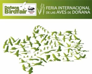 Algeciras estará presente en la feria de turismo ornitológico Doñana BirdFair