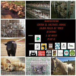 Manifestación en favor de los derechos de los animales este viernes 3 en Algeciras