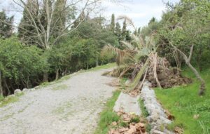 Adelante Algeciras defiende un modelo de ciudad que apuesta por zonas verdes y parques infantiles