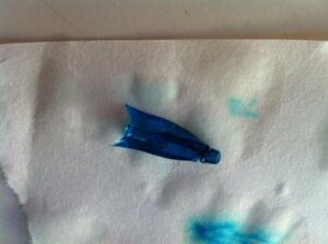 Registran en el Estrecho la primera aparición masiva en tierra de uno de los organismos marinos más largos