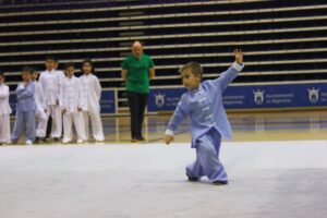 El I Open de Taiji Tradicional Al-Andalus un rotundo éxito