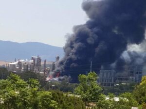 Verdemar llama a la movilización ciudadana frente a la inacción de instituciones y partidos