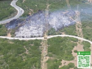Extinguido el incendio declarado ayer en el paraje Arroyo de Matatoros, en Guadalmesí