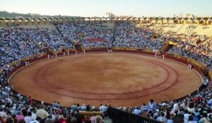 APTA realiza su balance sobre la feria taurina del 50 aniversario de La Palomas