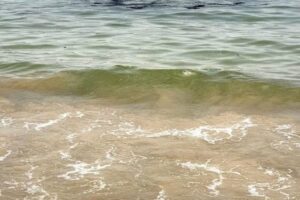 Verdemar denuncia un vertido de hidrocarburos y hollín en El Rinconcillo