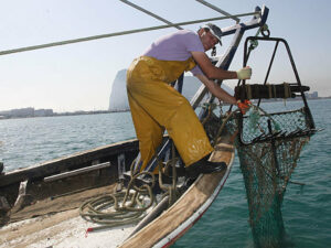 47 embarcaciones de Algeciras y Tarifa comienzan a faenar tras el acuerdo de pesca con Marruecos