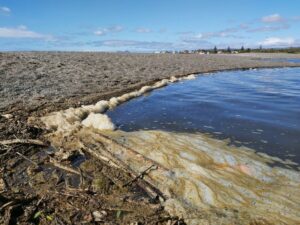 Verdemar advvierte de que abrirá la desembocadura del Guadiaro si no lo hacen las administraciones